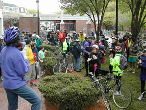 Davis Square