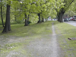 Riverway Bridle Trail